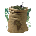 exim-global Fine Robusta – Le Moungo